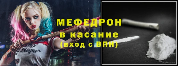 индика Арсеньев