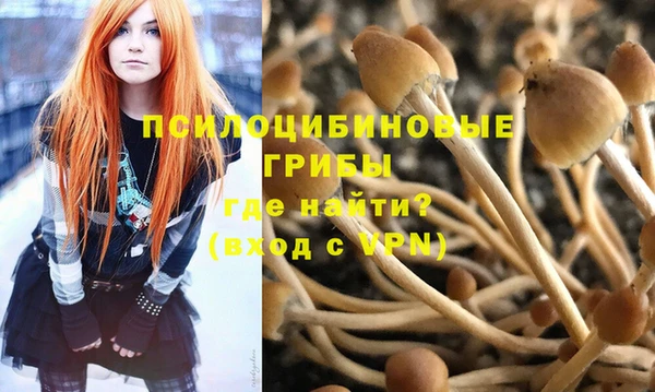 крисы Валдай