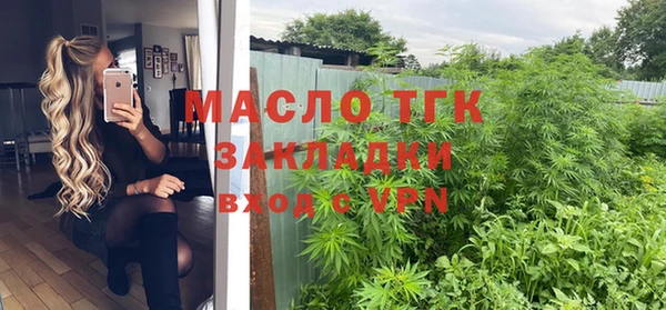 индика Арсеньев