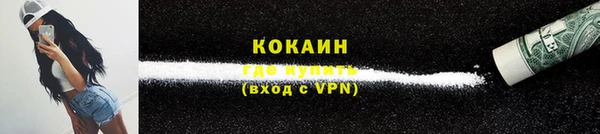 индика Арсеньев