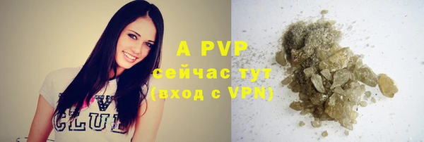 PSILOCYBIN Армянск