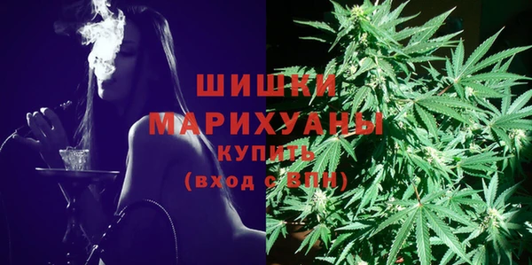 PSILOCYBIN Армянск