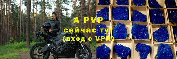 индика Арсеньев