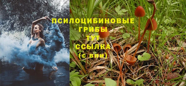индика Арсеньев