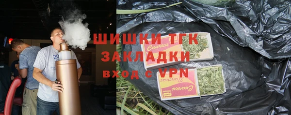 индика Арсеньев