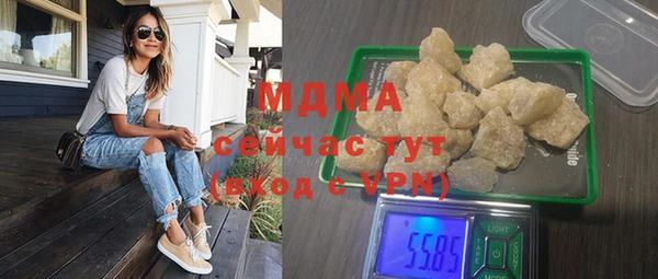 индика Арсеньев