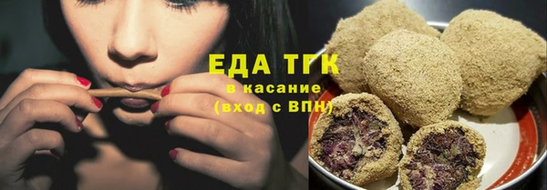 индика Арсеньев